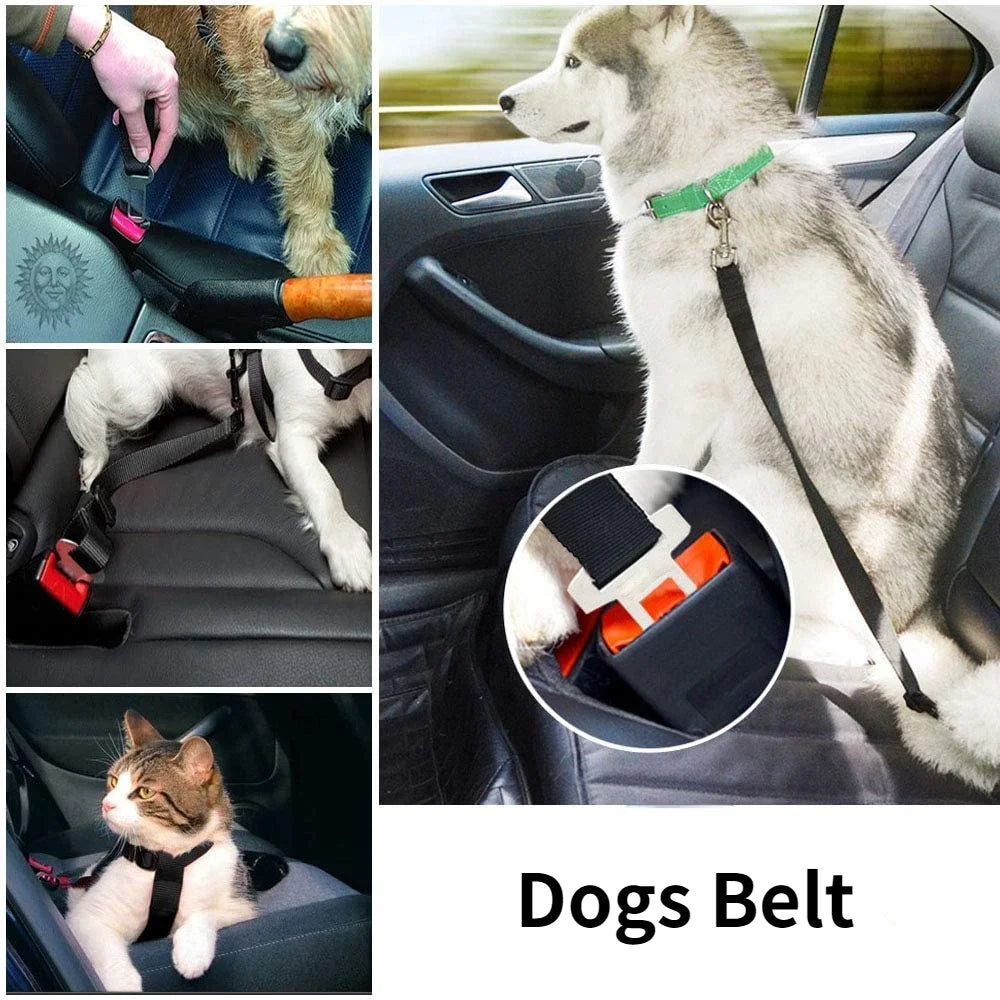 El Cinturón del Viajero Fiel — Cinturón de Seguridad para Perros y Gatos en el Coche