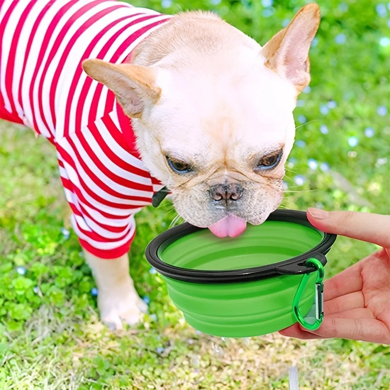 El Cuenco Plegable del Viajero — Bol de Silicona Portátil para Perros y Gatos