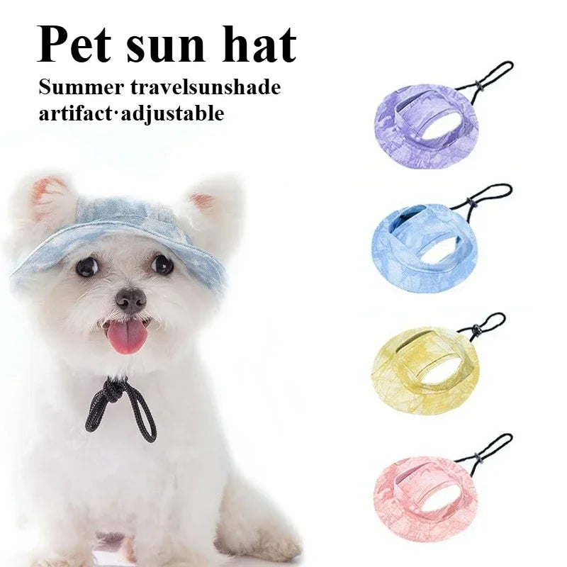 👑 Comedero Real — Dispensador Automático 2 en 1 para Gatos y Perros