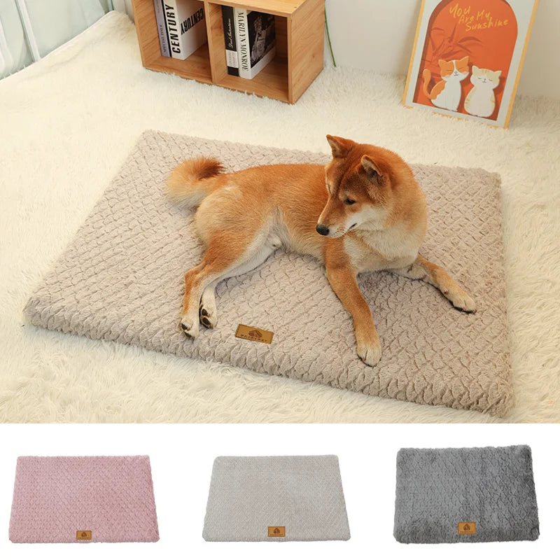 El Lecho del Señor — Cama Ortopédica 3D con Funda Lavable para Perros"