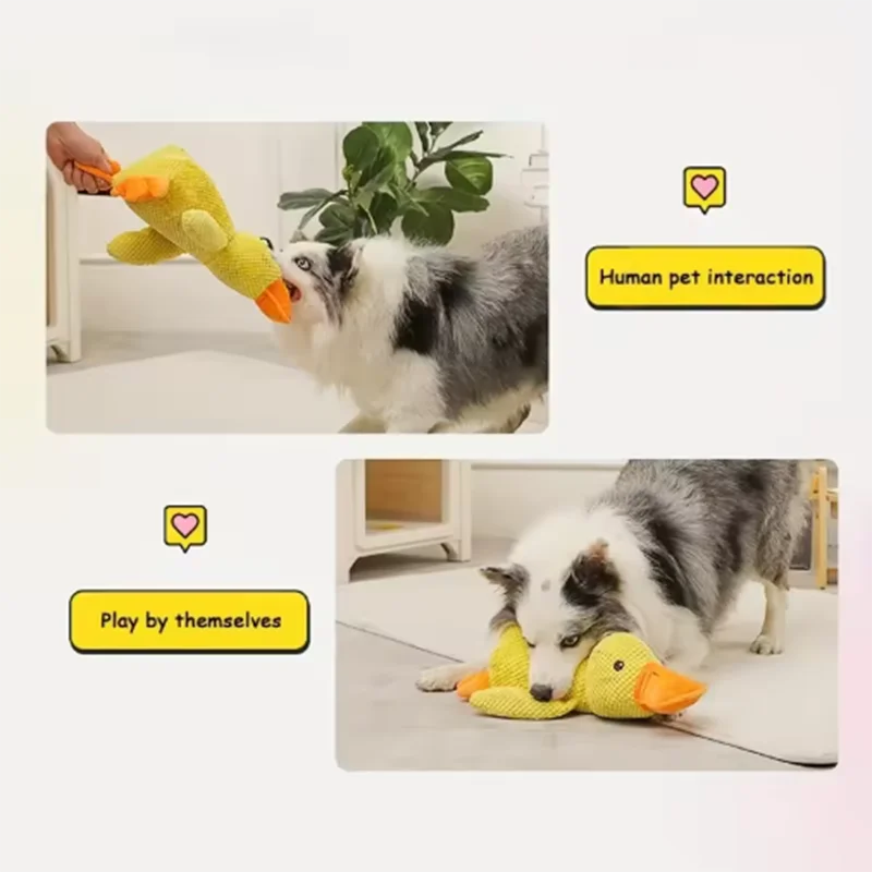 El Pato del Reino — Juguete de Peluche Interactivo para Perros 🦆⚔️