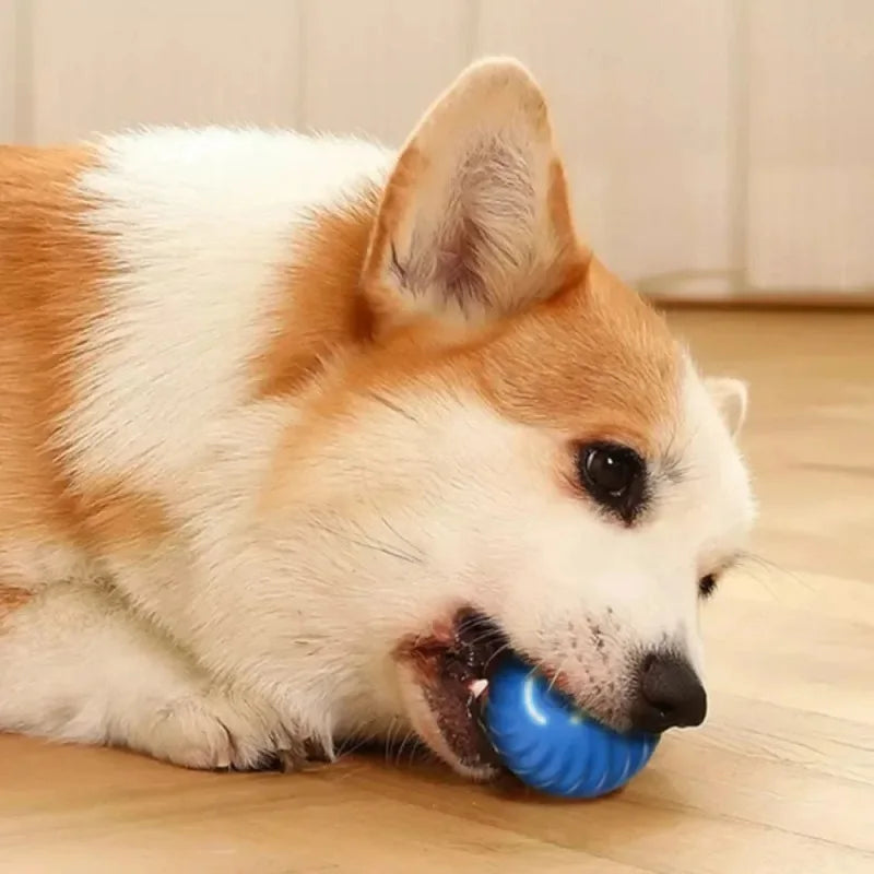 La Esfera Errante del Reino — Pelota Interactiva Automática para Perros