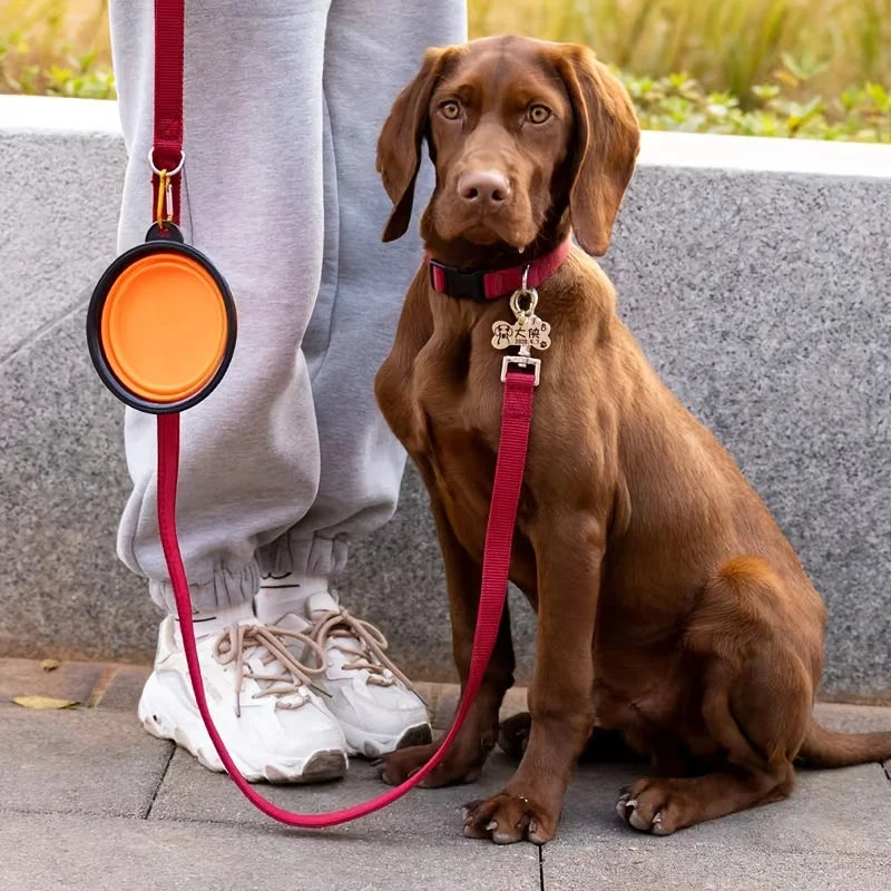El Cuenco Plegable del Viajero — Bol de Silicona Portátil para Perros y Gatos