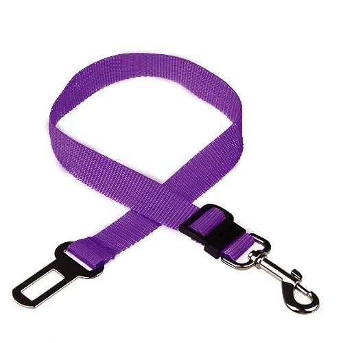 El Cinturón del Viajero Fiel — Cinturón de Seguridad para Perros y Gatos en el Coche