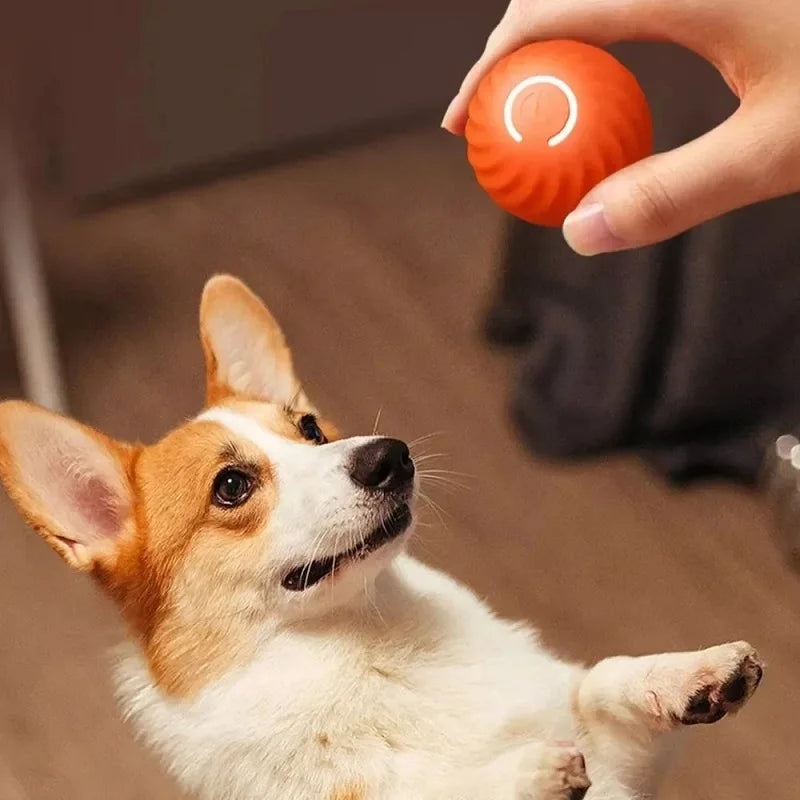 La Esfera Errante del Reino — Pelota Interactiva Automática para Perros