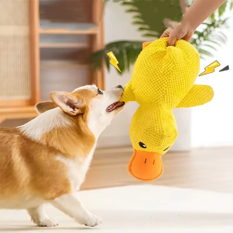 El Pato del Reino — Juguete de Peluche Interactivo para Perros 🦆⚔️